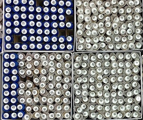 First batch of stool samples are ready for DNA extraction and qPCR analysis.